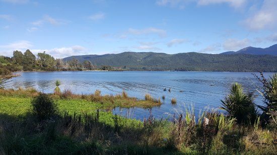 Te Anau Bird Sanctuary